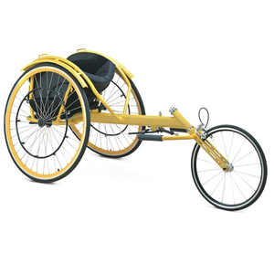 Ce/ISO 承認のレジャーおよびスポーツ スピード王車椅子 (MT05030051)
