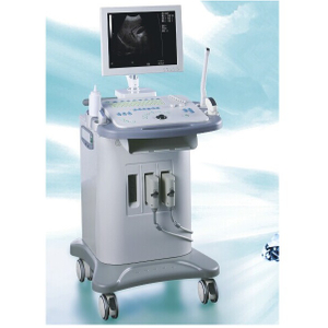 CE/ISO 承認のトロリー型デジタル超音波診断システム マシン (MT01006065)